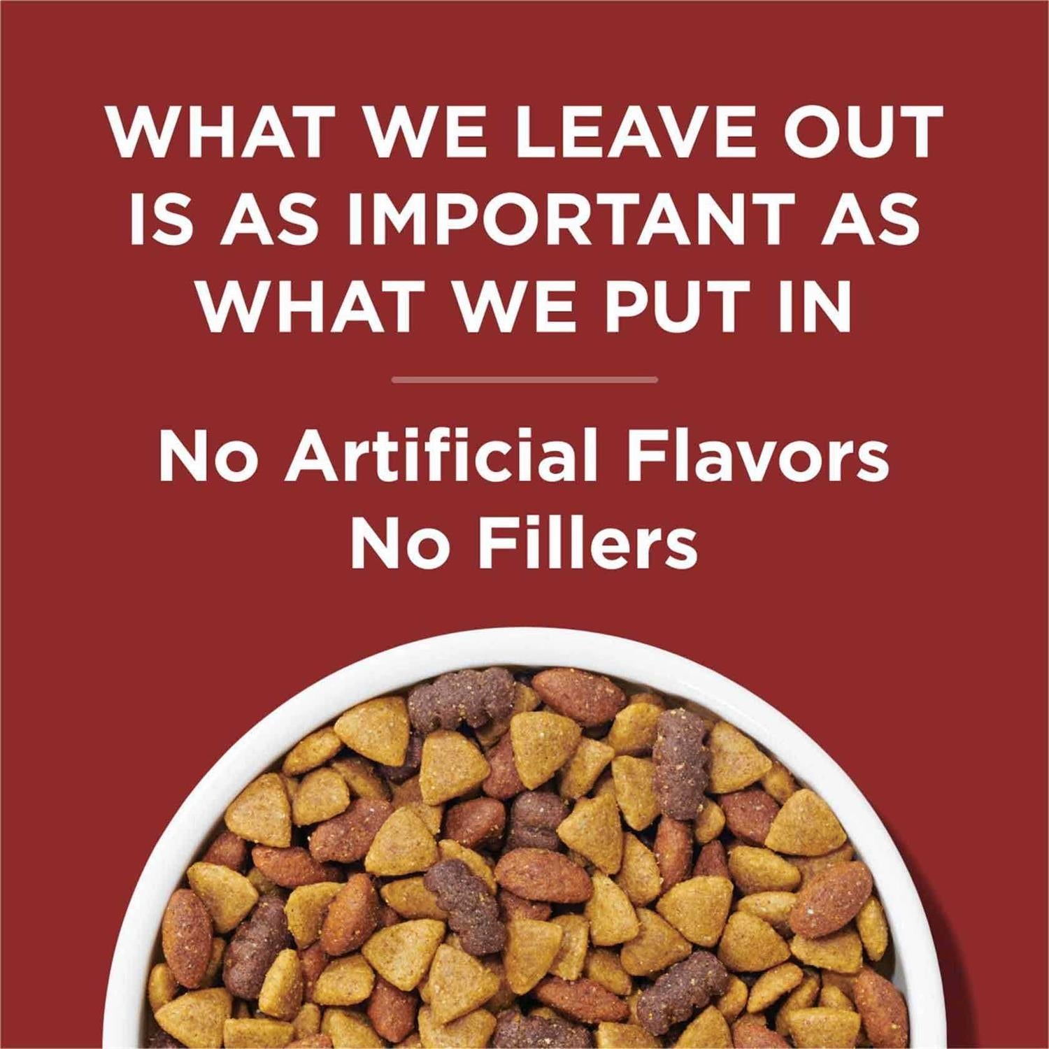 Adult Dry Dog Food, Beef Flavor U633