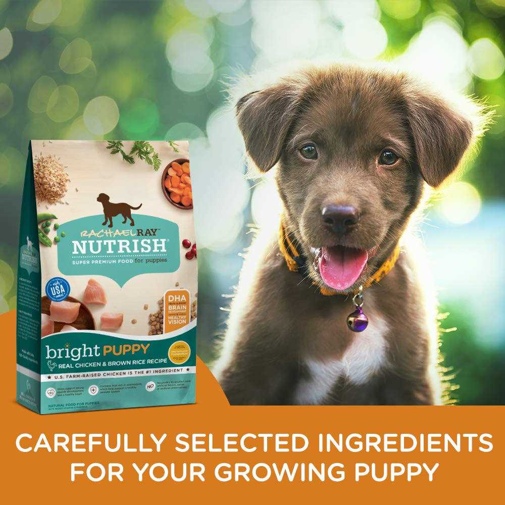 Puppy Dry Dog Food Real Chicken & Brown Rice Recipe W278371