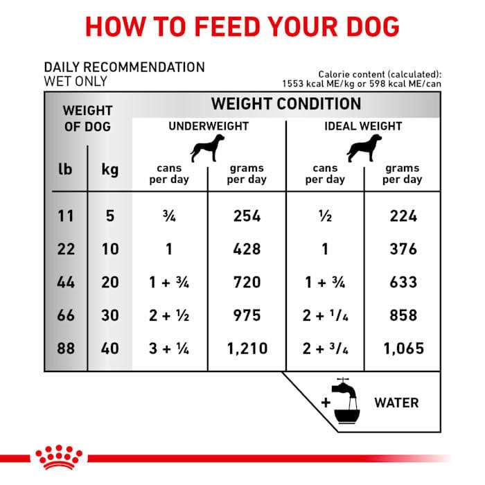 Canned Dog Food for Renal Support A22950