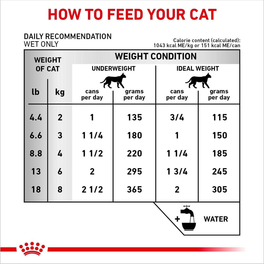 Veterinary Diet Adult Renal Support Canned Cat Food R682