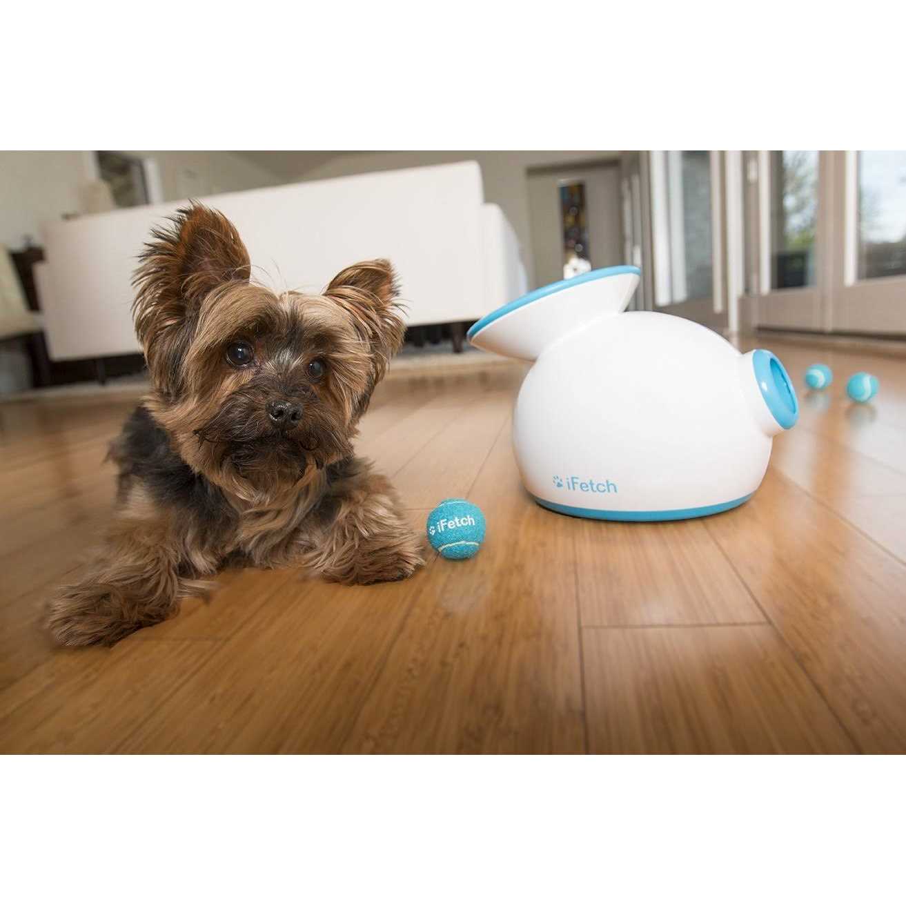 Interactive Dog Ball Launcher G357597