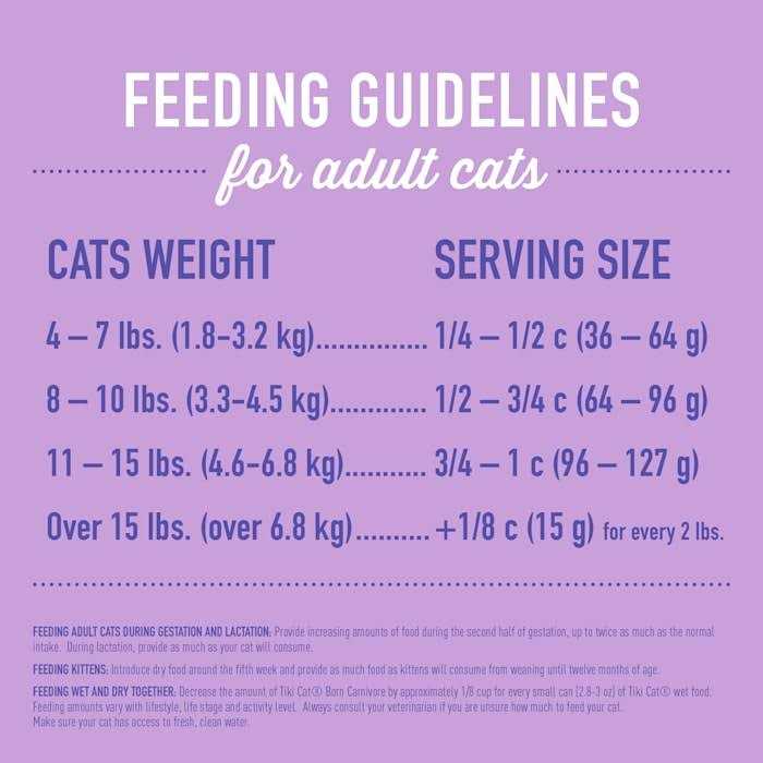 Turkey Light Dry Cat Food P4573