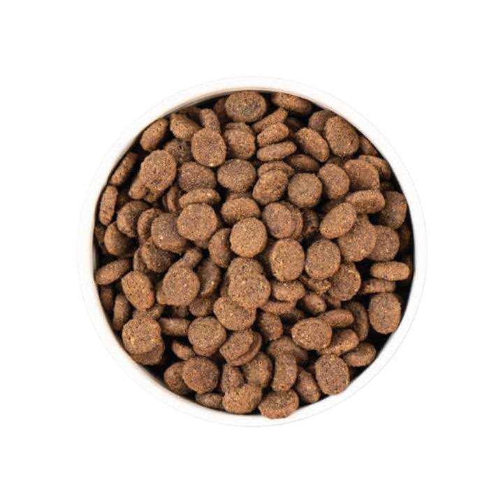 Smoked Salmon with Ancient Grains & Superfoods Dry Dog Food A387402