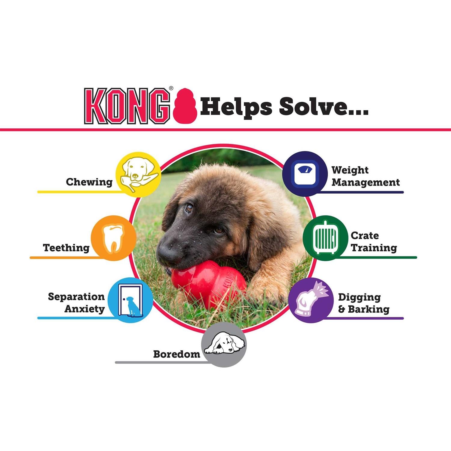 Dog Toy I6118