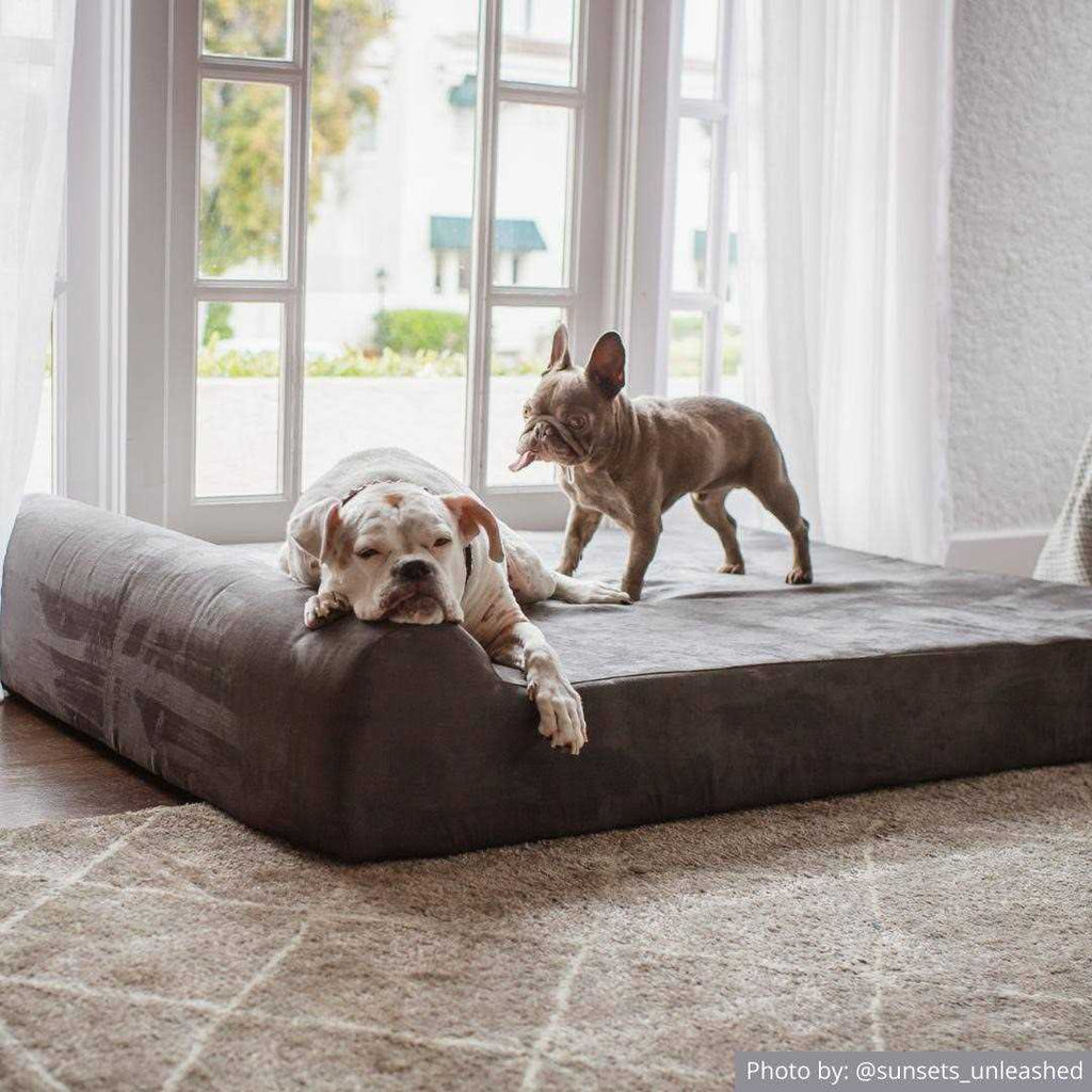 Orthopedic Dog Bed with Headrest Pillow Top F7305