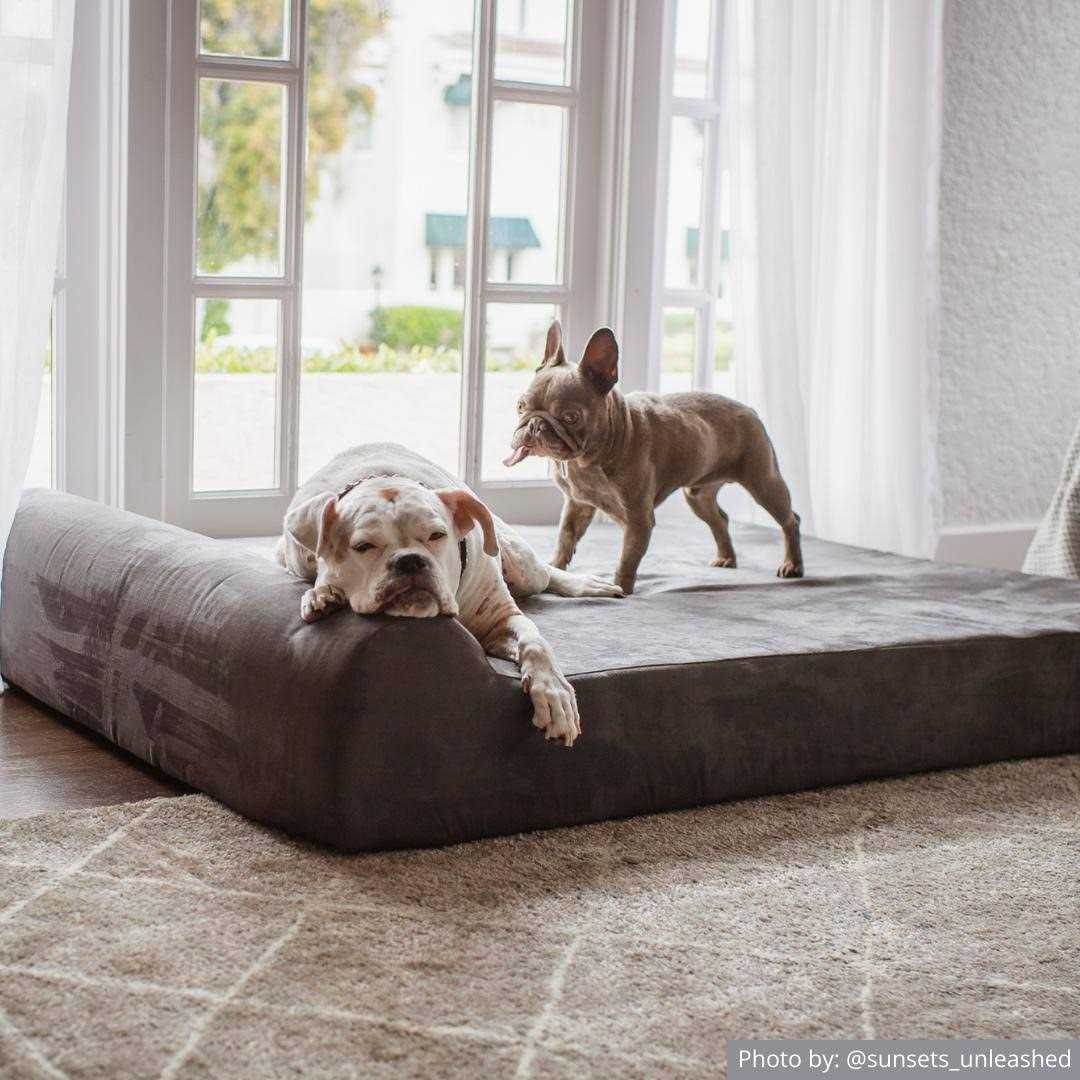 Orthopedic Dog Bed with Headrest Pillow Top F7305