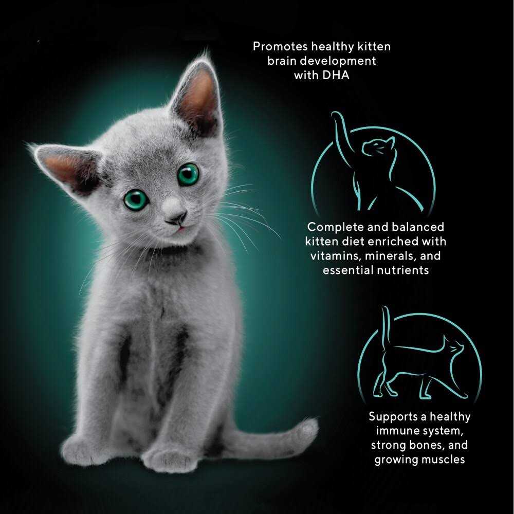 Kitten Soft Pate Wet Food Variety Pack P71606