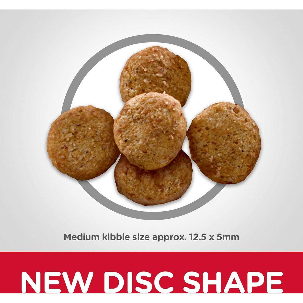 Adult Light Chicken Meal & Barley Dry Dog Food C773514