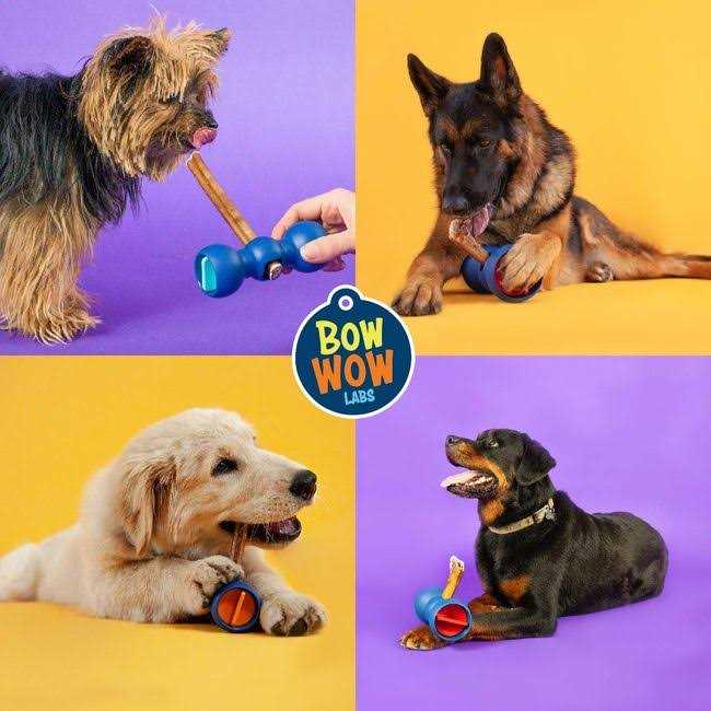Safe Fit Bully Sticks for Dogs Y416