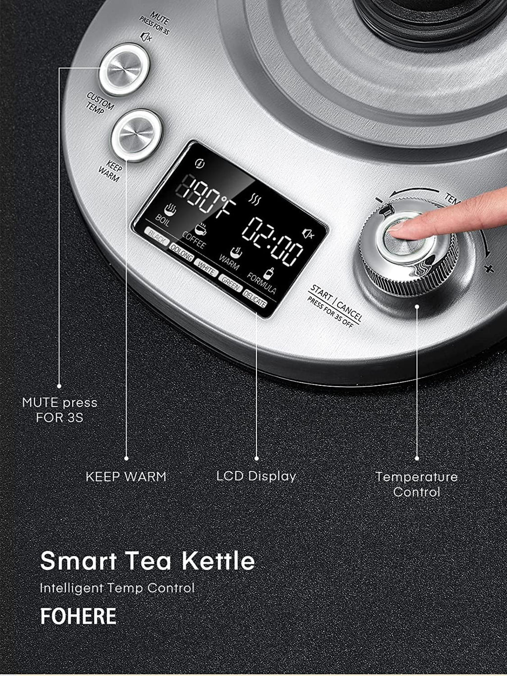 Electric Tea Kettle with Removable Infuser, Temperature Control, 1.7L B580106