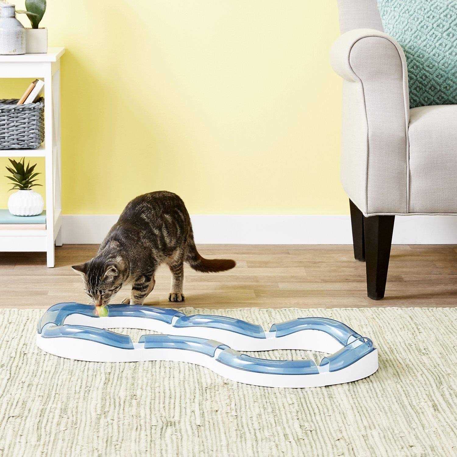 Super Roller Circuit Cat Toy R2415
