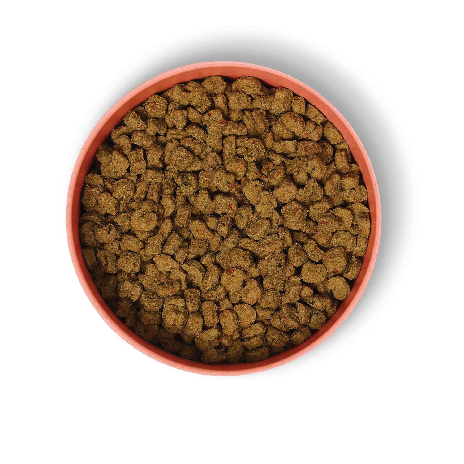 Baked Beef Dish with Sweet Potatoes Dry Dog Food E458856