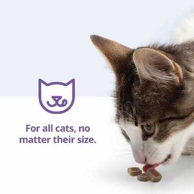 Cat Dental Treats for Oral Care Q16640