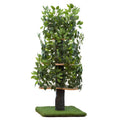 On2Pets Cat Tree with Leaves Cat House &amp; Cat Activity Tree - Pet Supplies online store