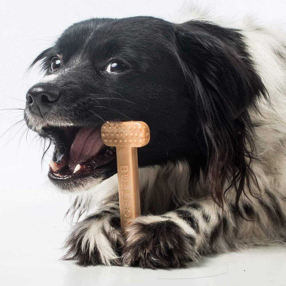Nylon Dog Chew Toy with Dental Benefits and Easy Grip J38874