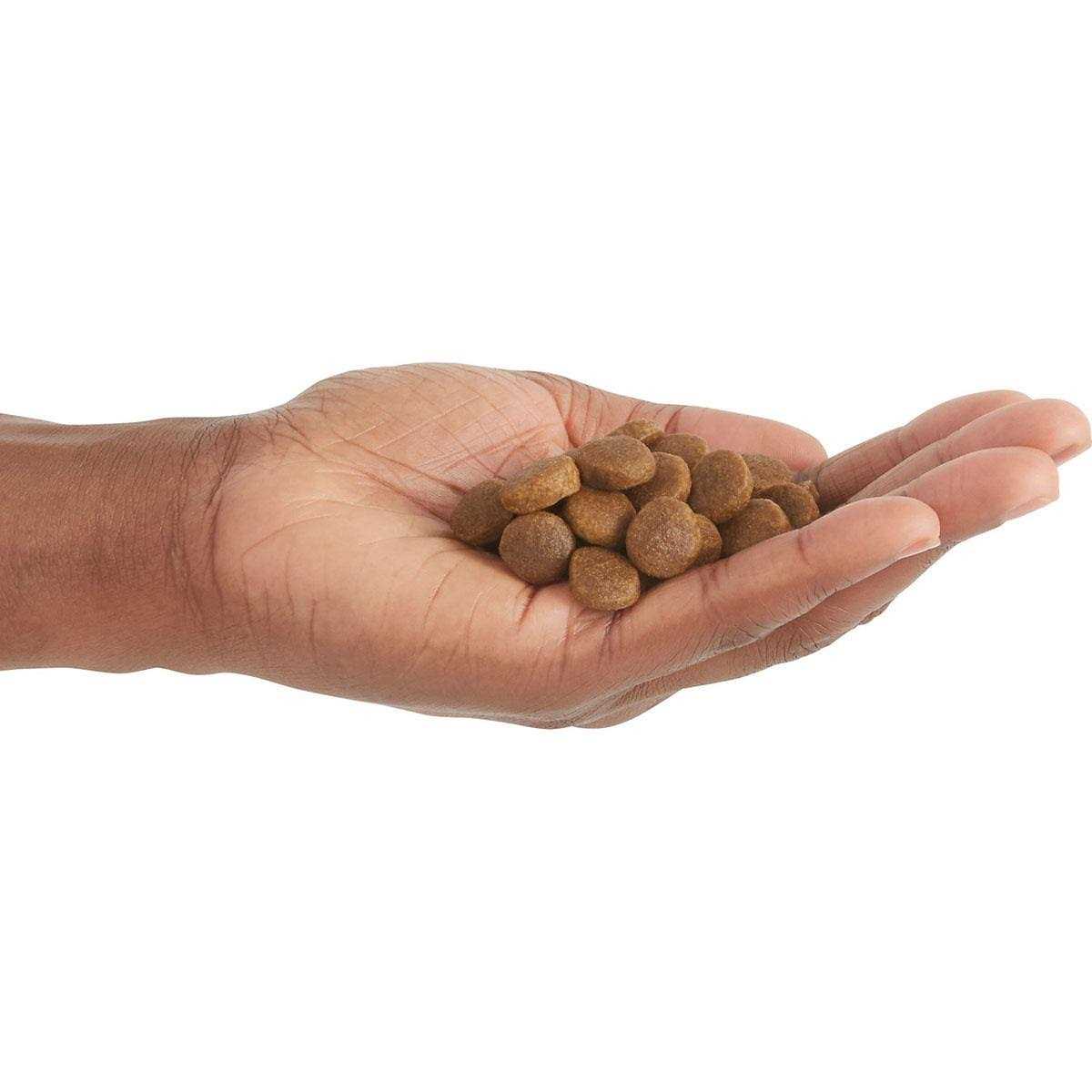 Free-Run Poultry Dry Dog Food V681