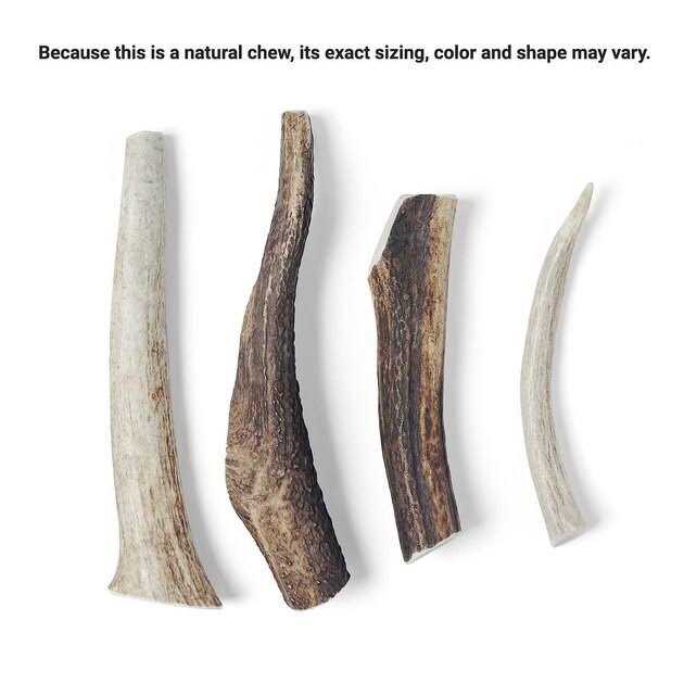 Elk Antler Dog Chew for Pets T89153