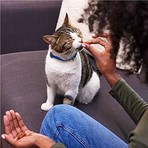Crunchy and Soft Cat Treats Variety Pack X961910