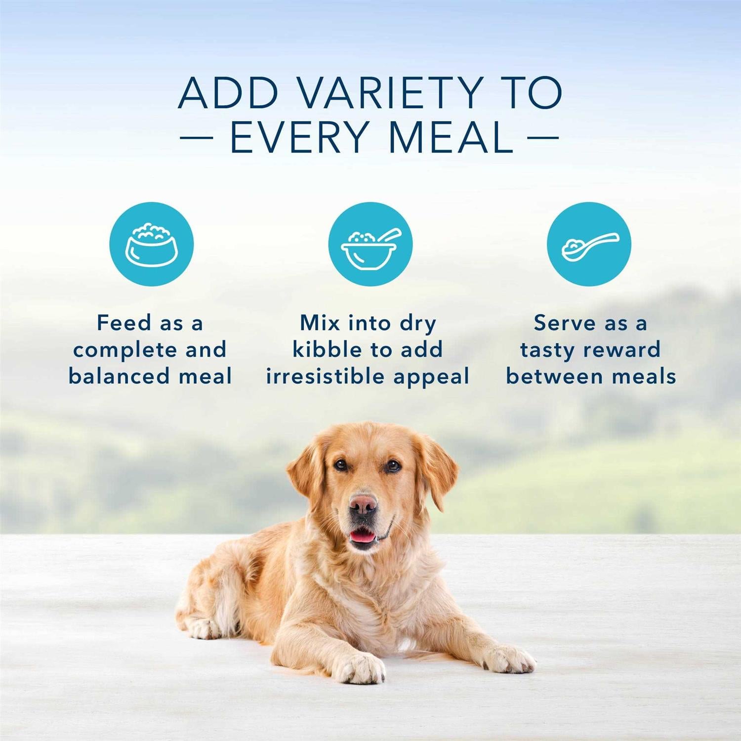 Homestyle Recipe Variety Pack Wet Dog Food W63455