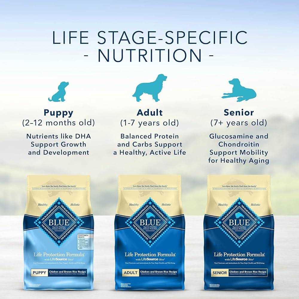 Adult Dry Dog Food Beef & Brown Rice S2287