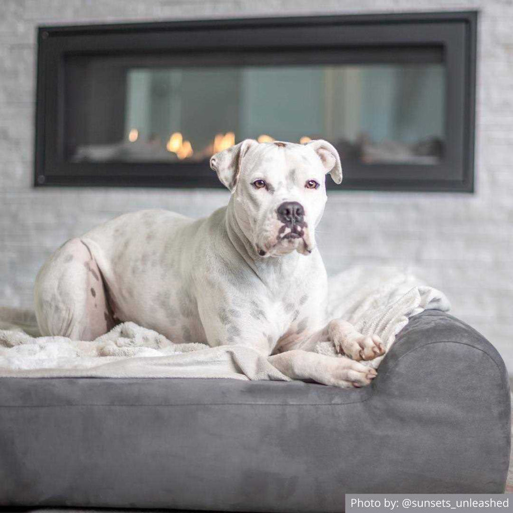Orthopedic Dog Bed with Headrest Pillow Top F7305