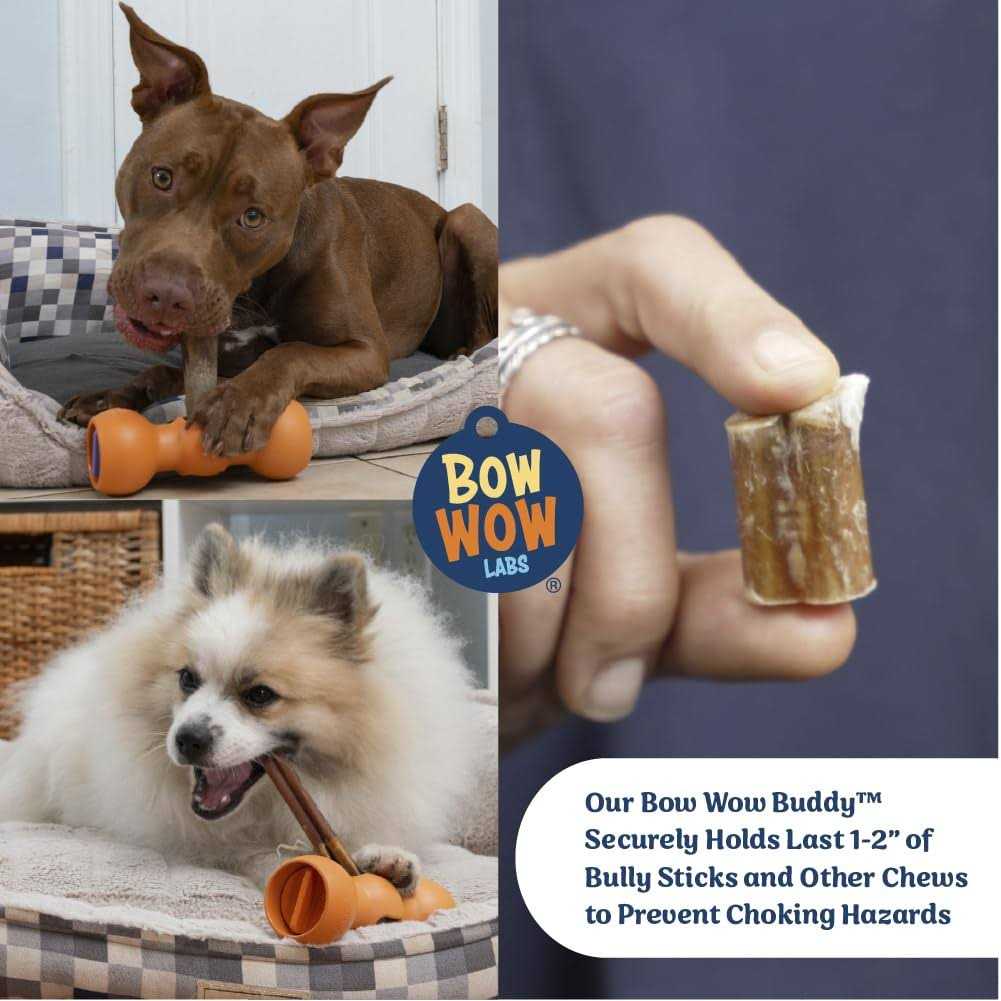 Bully Stick Holder for Dogs Starter Kit K4163