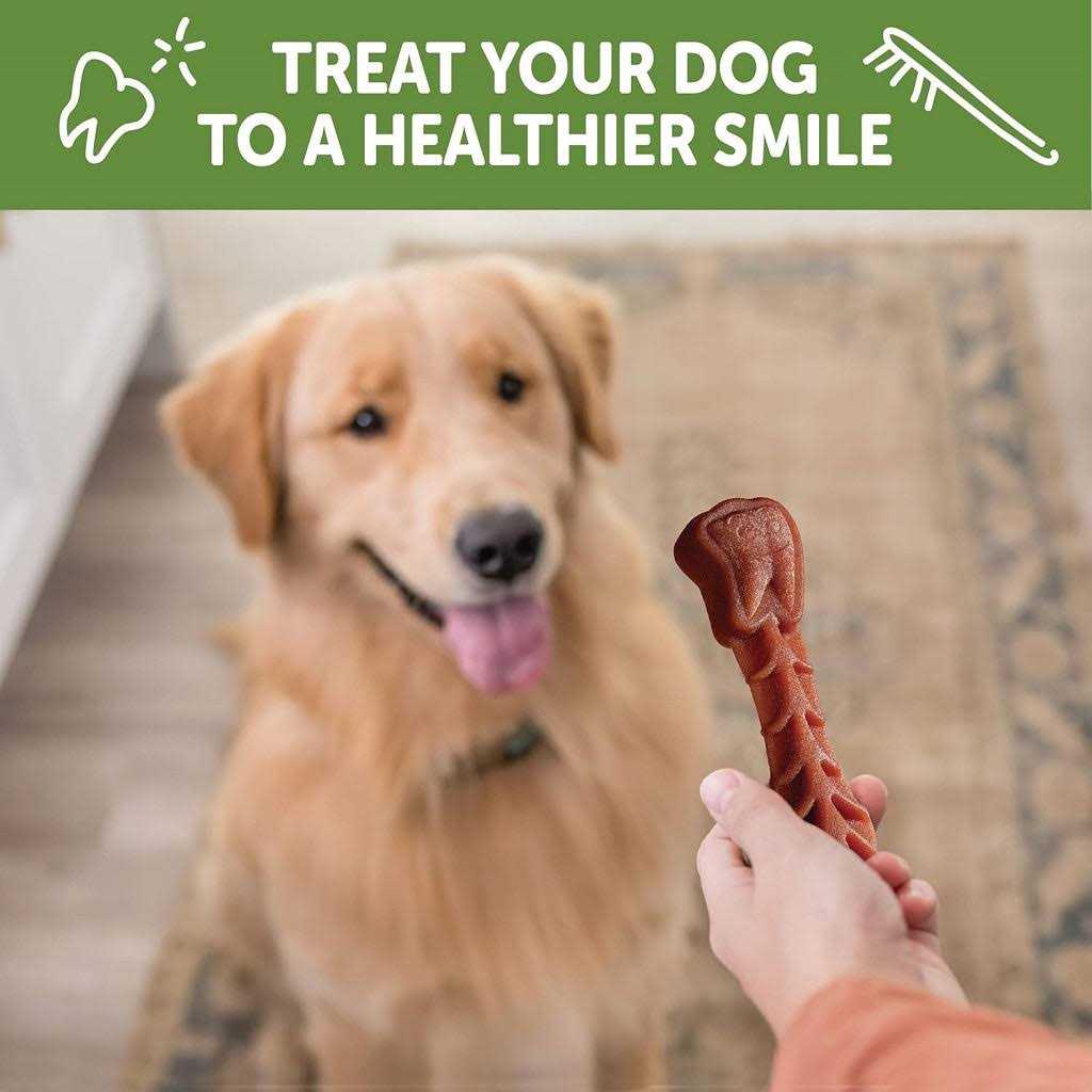 Natural Dental Dog Treats Value Box T60626