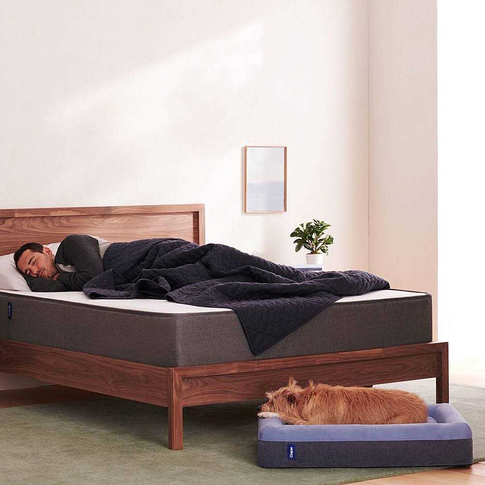 Dog Bed S9364