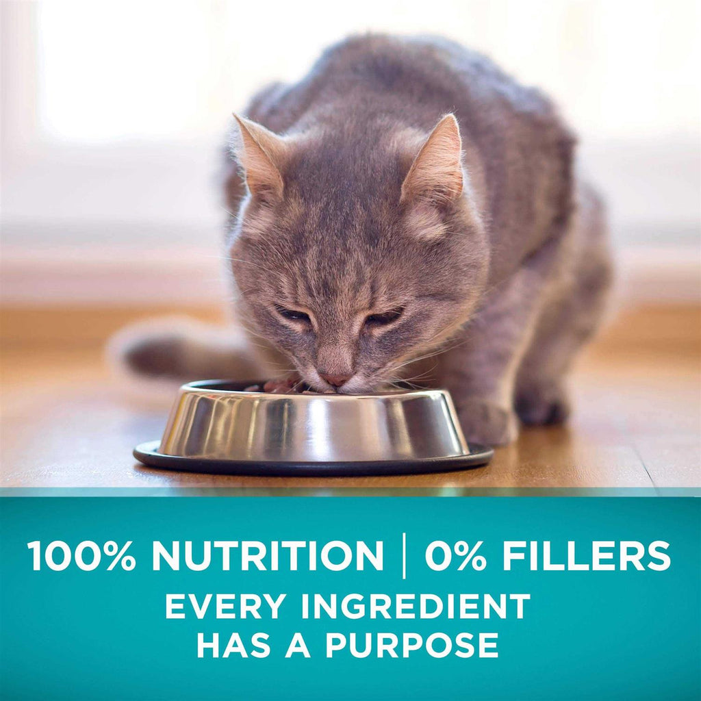 Natural High Protein Grain Free Dry Cat Food C880