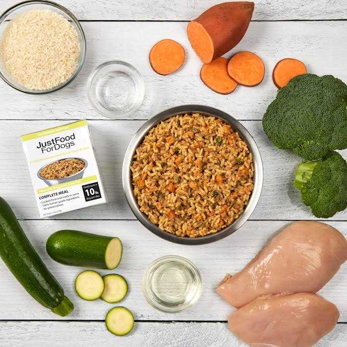 Hepatic Support Low Fat Wet Dog Food V248986