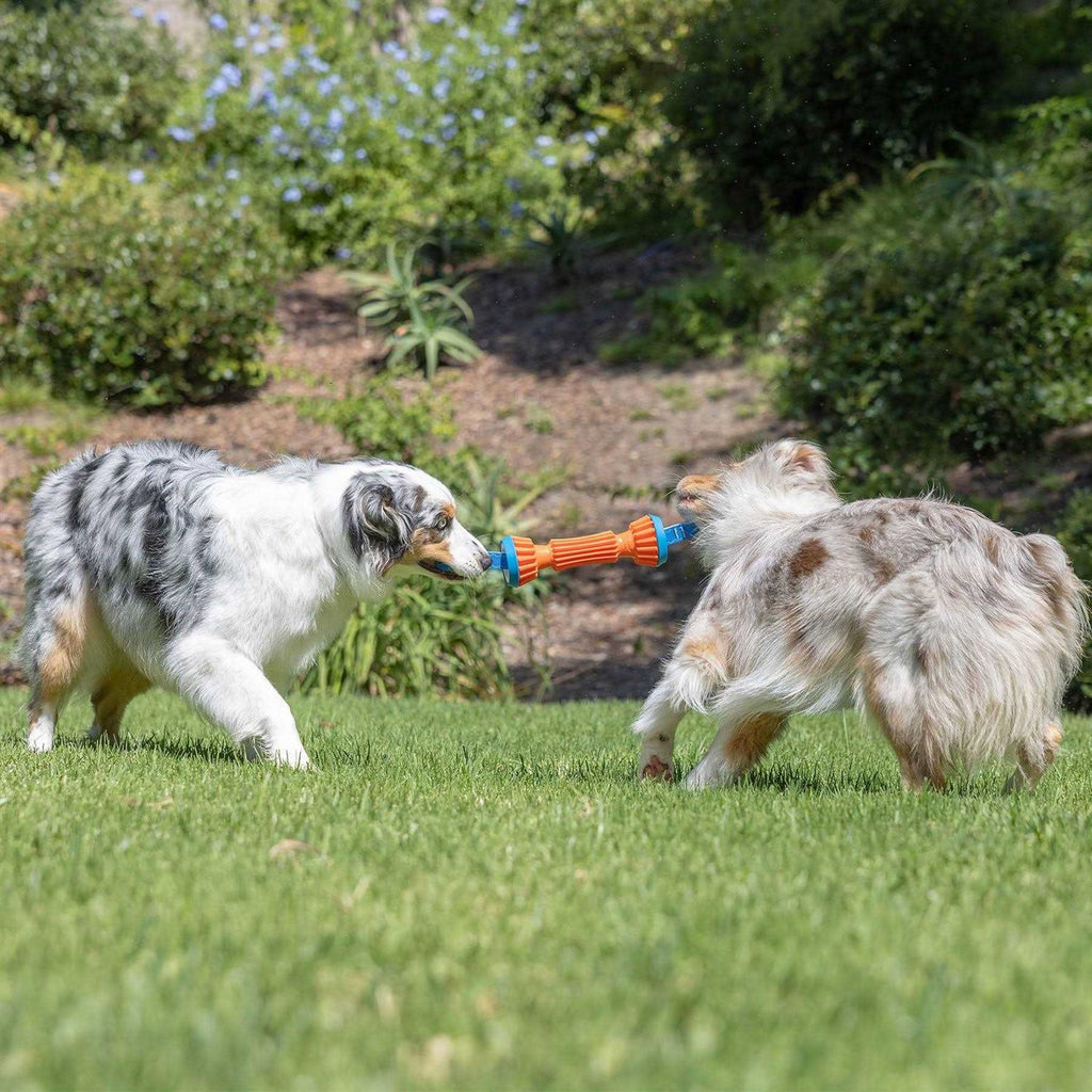 Rugged Bumper Dog Toy S12338