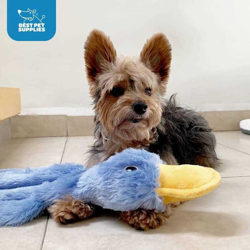 Crinkle Dog Toy for Small, Medium, and Large Breeds, No Stuffing Duck with Soft Squeaker I939020