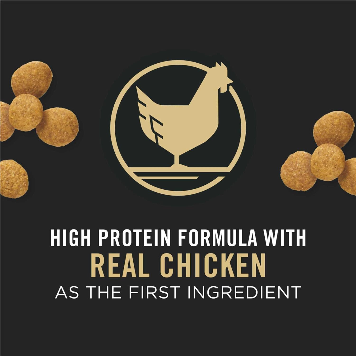 Large Breed Dry Puppy Food Chicken & Rice Formula S1394