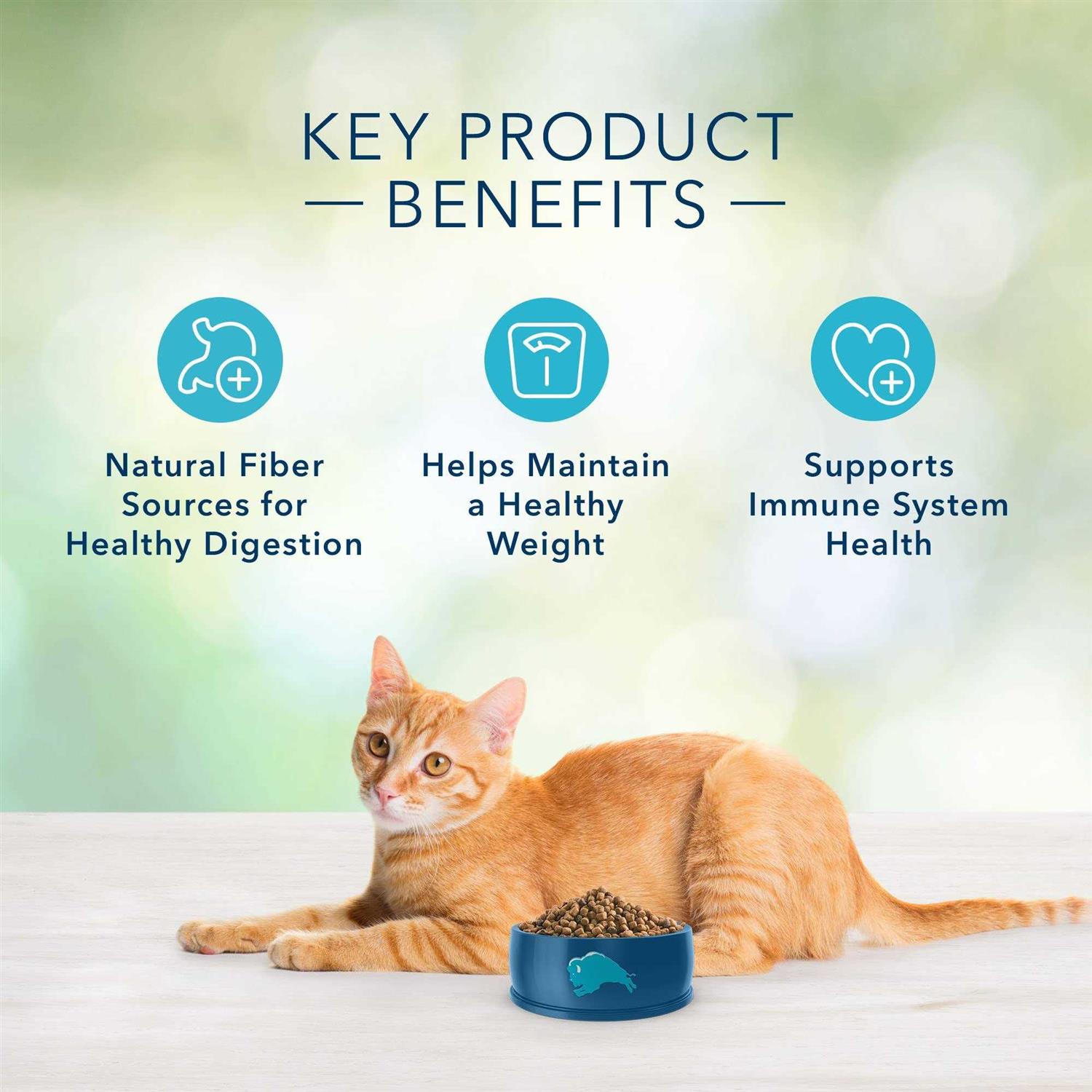 Grain-Free Indoor Adult Dry Cat Food H542410