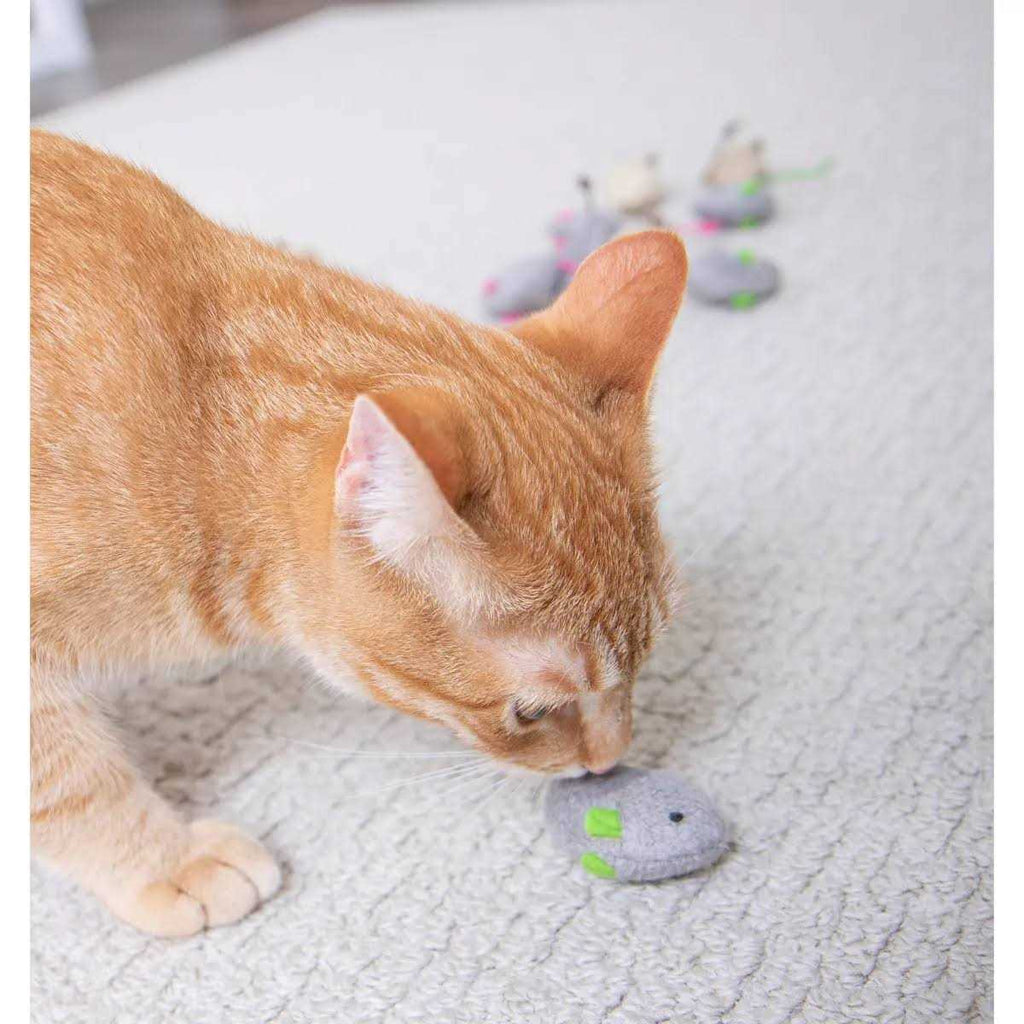 Catnip Toys for Cats Q56105