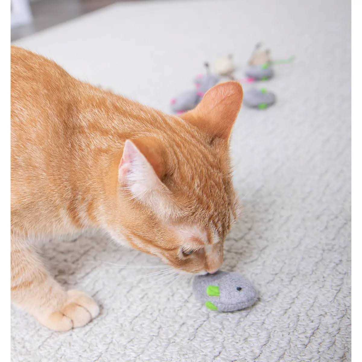 Catnip Toys for Cats Q56105