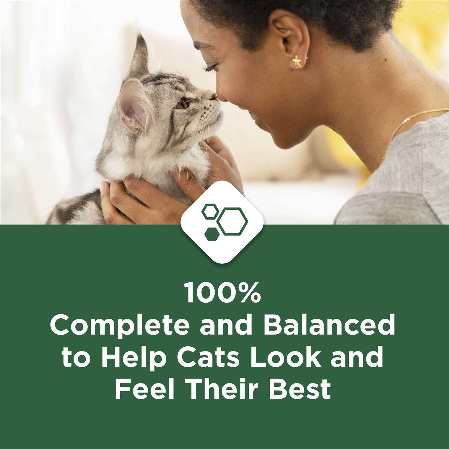 Indoor Dry Cat Food N5974