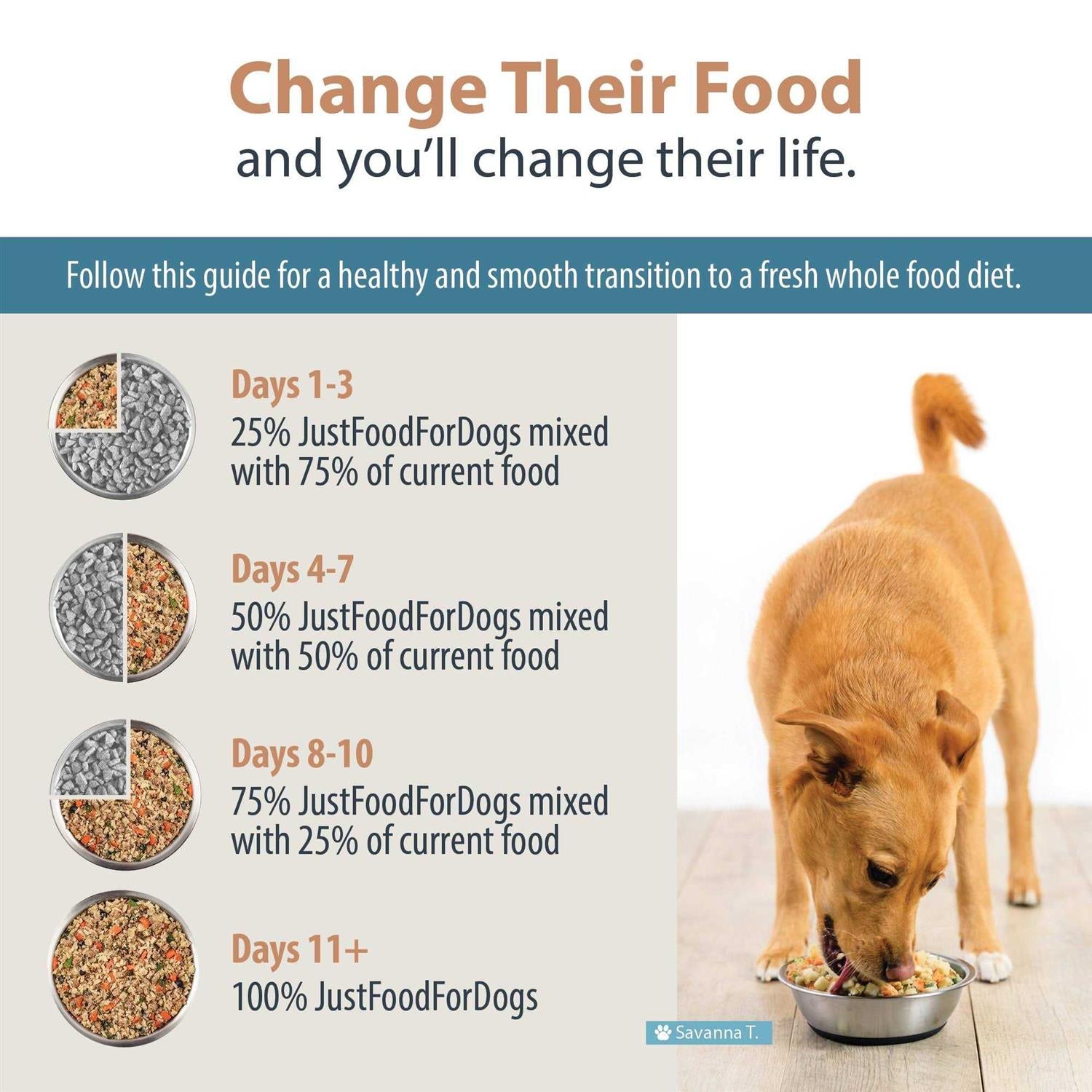 Frozen Rice Dog Food D59814