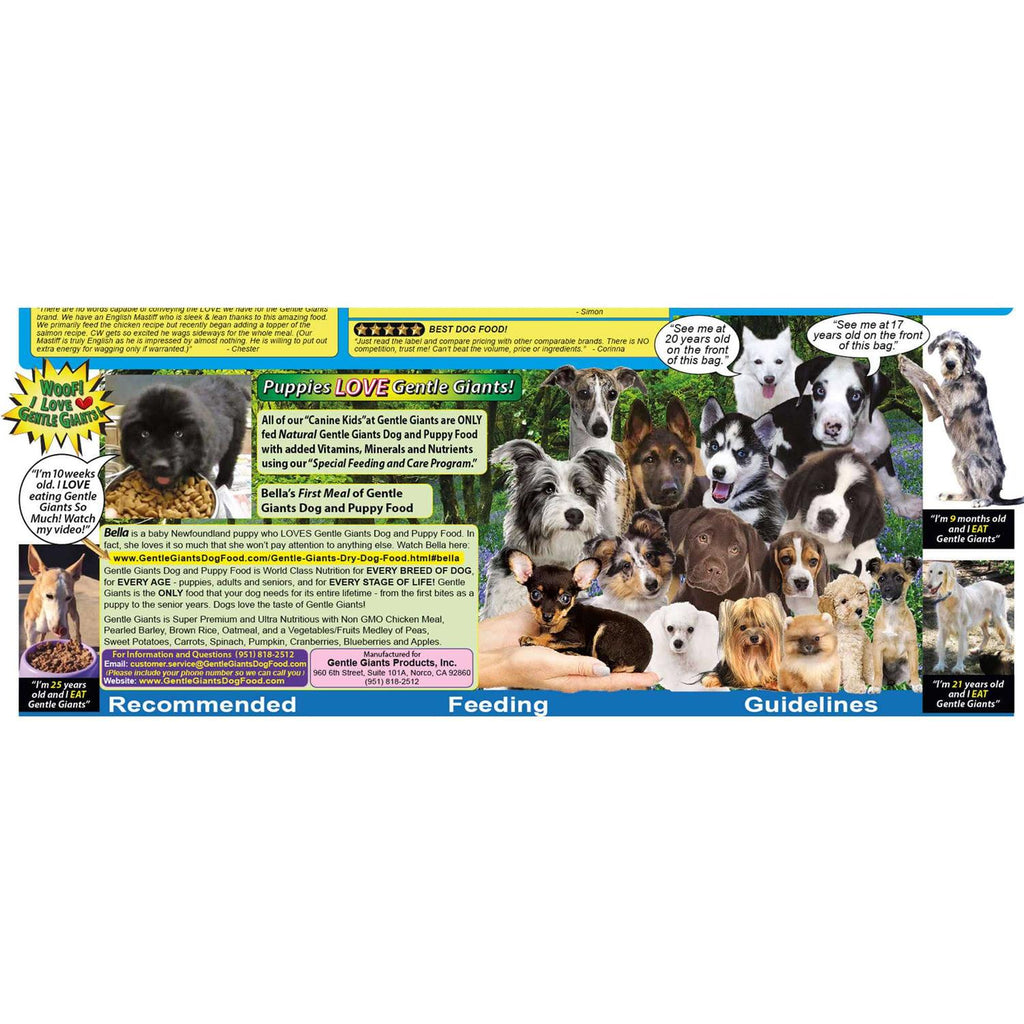 Chicken Dry Dog Food M367
