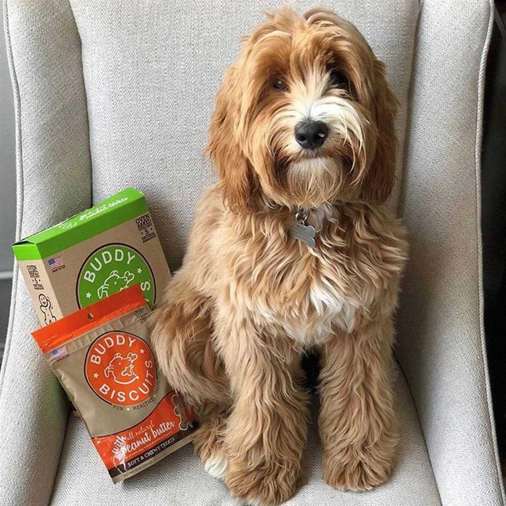 Soft and Chewy Peanut Butter Dog Treats M884