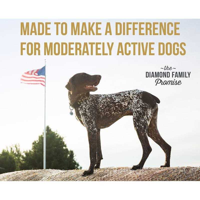 Dog Food Maintenance Q392159