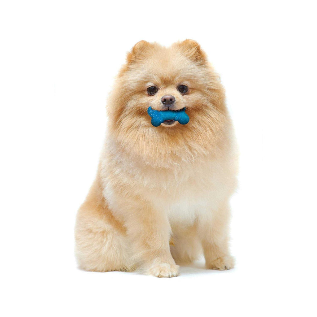 Moderate Chew Bone Toy for Dogs, Bacon & Peanut Butter Flavor H454