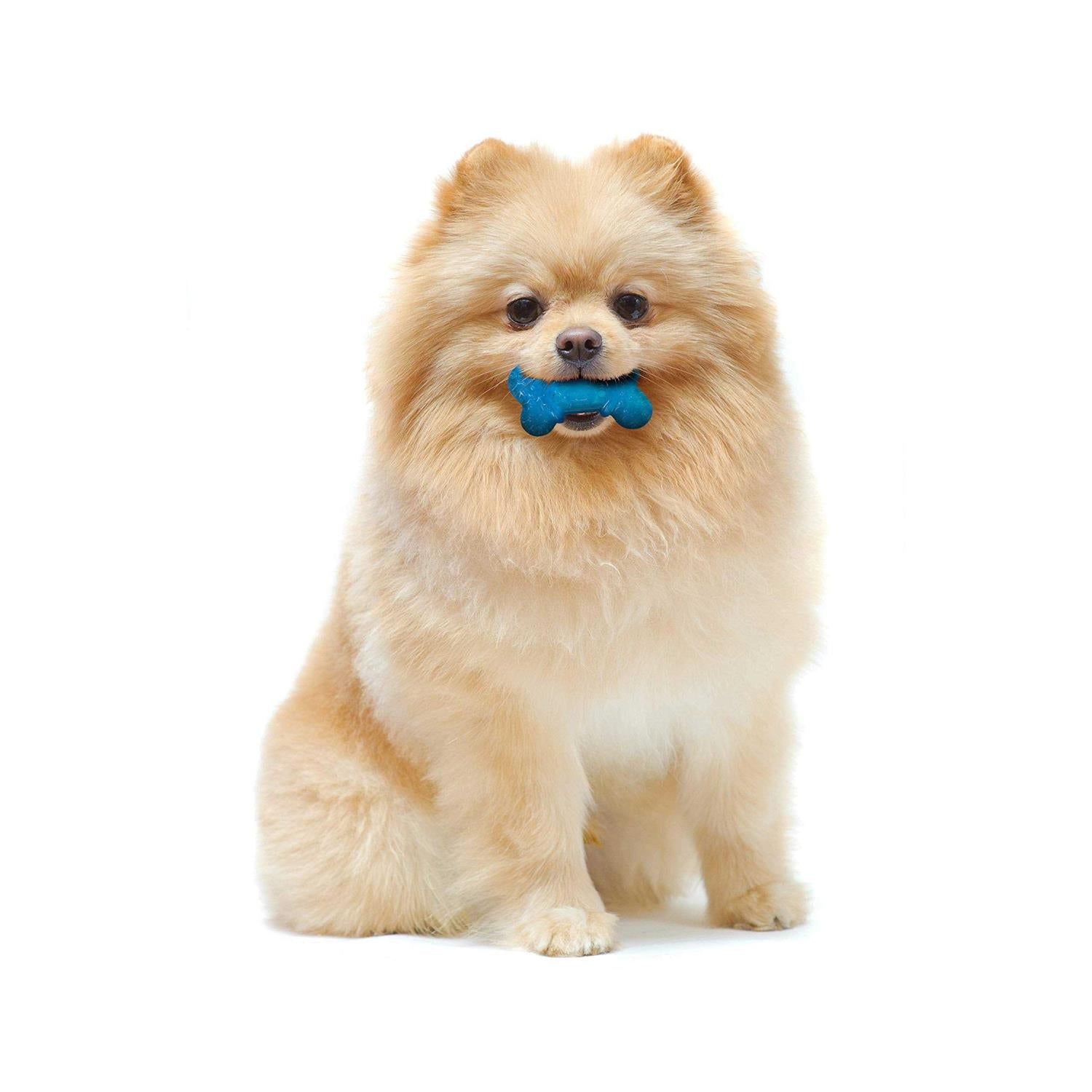 Moderate Chew Bone Toy for Dogs, Bacon & Peanut Butter Flavor H454