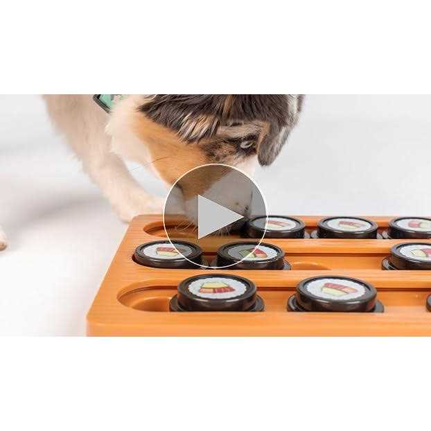 Interactive Puzzle Game Dog Toys for Cats and Dogs Z513667