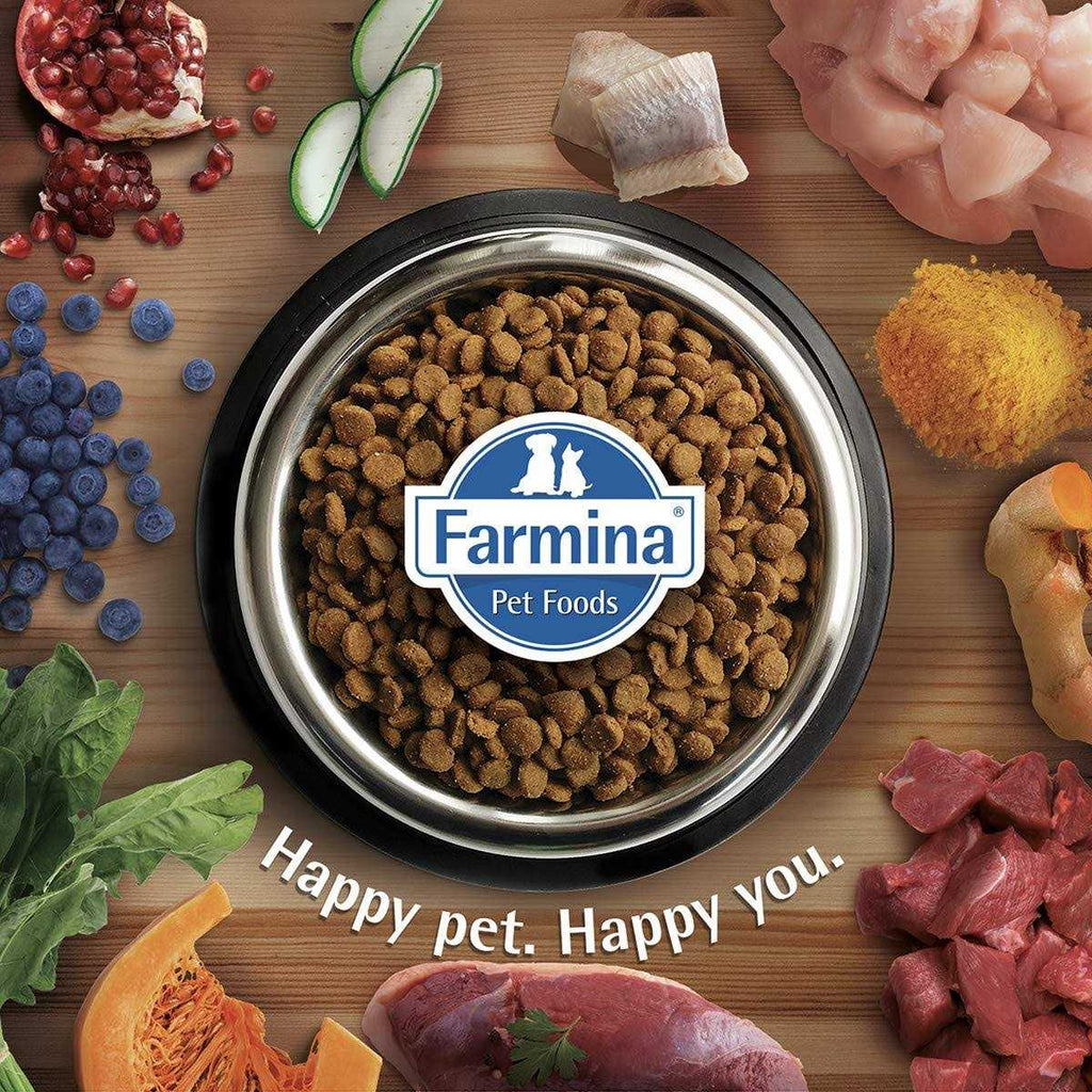 Chicken & Pomegranate Dry Dog Food V5712