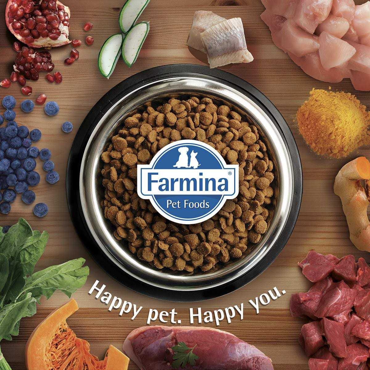 Chicken & Pomegranate Dry Dog Food V5712