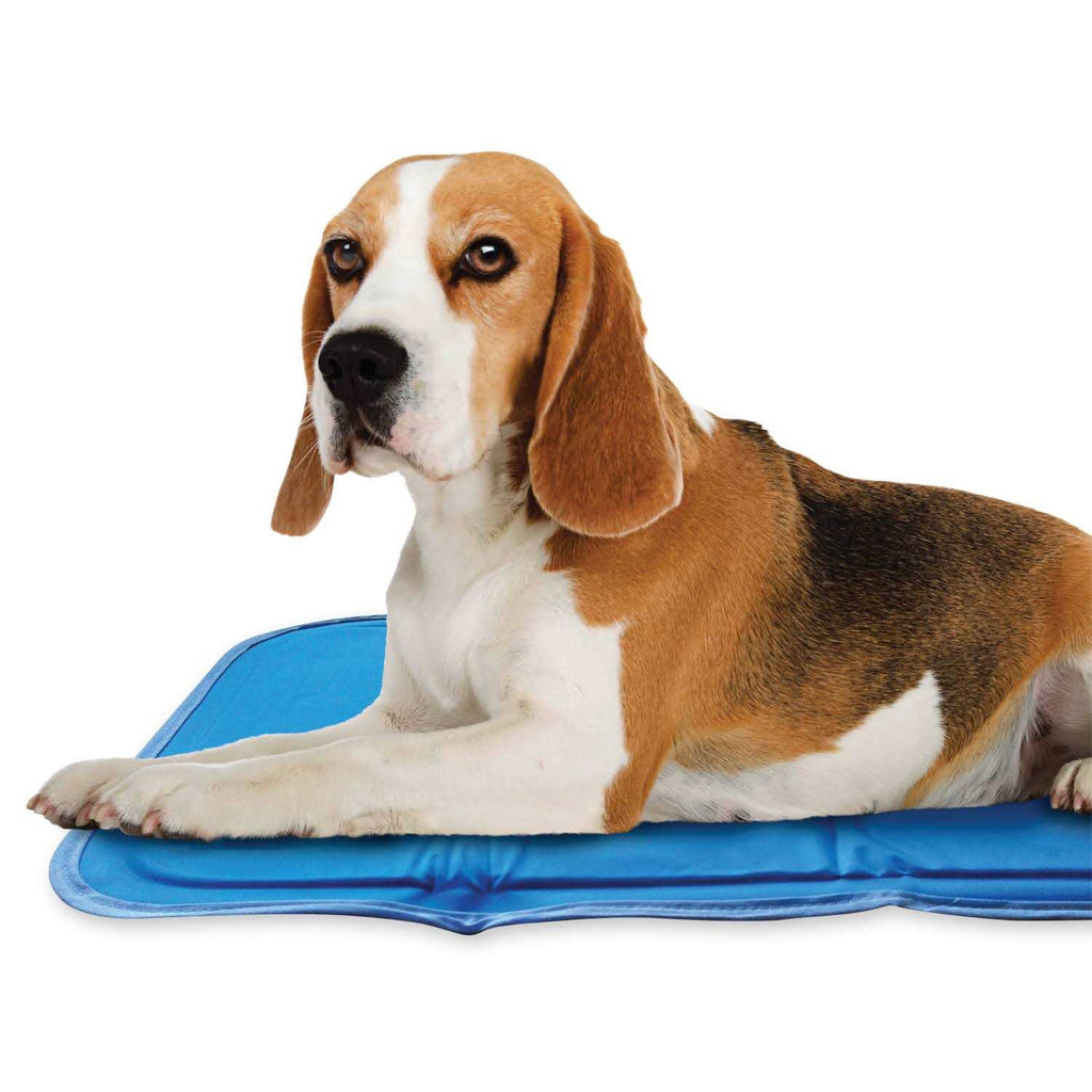 Sage Gray Self Cooling Pet Pad X618425