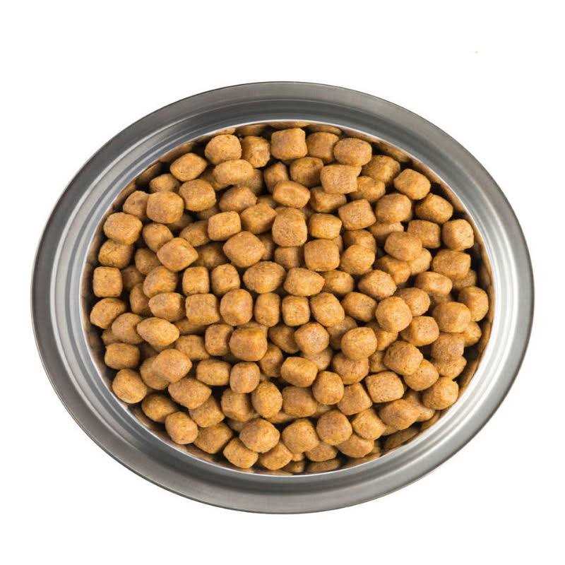 CardioCare Canine Formula X13511