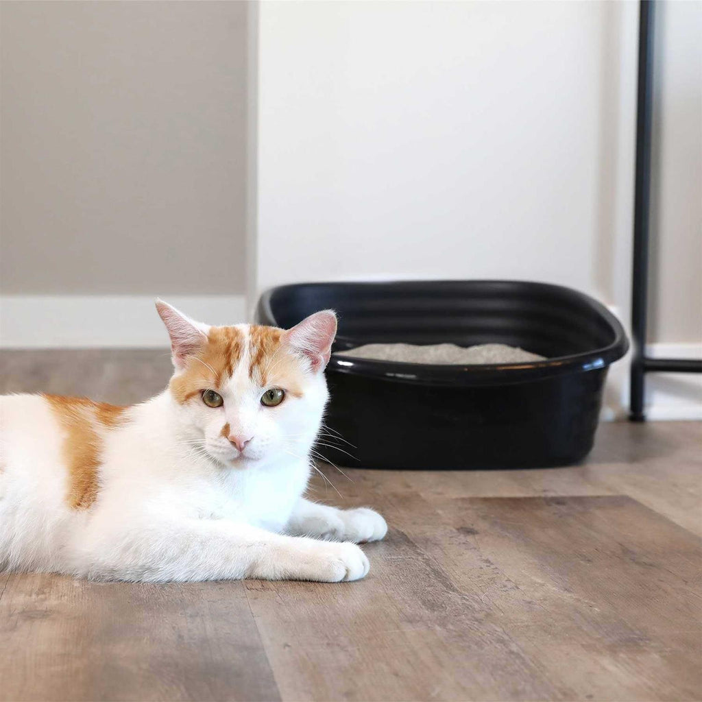 Litter Pan for Cats R4464