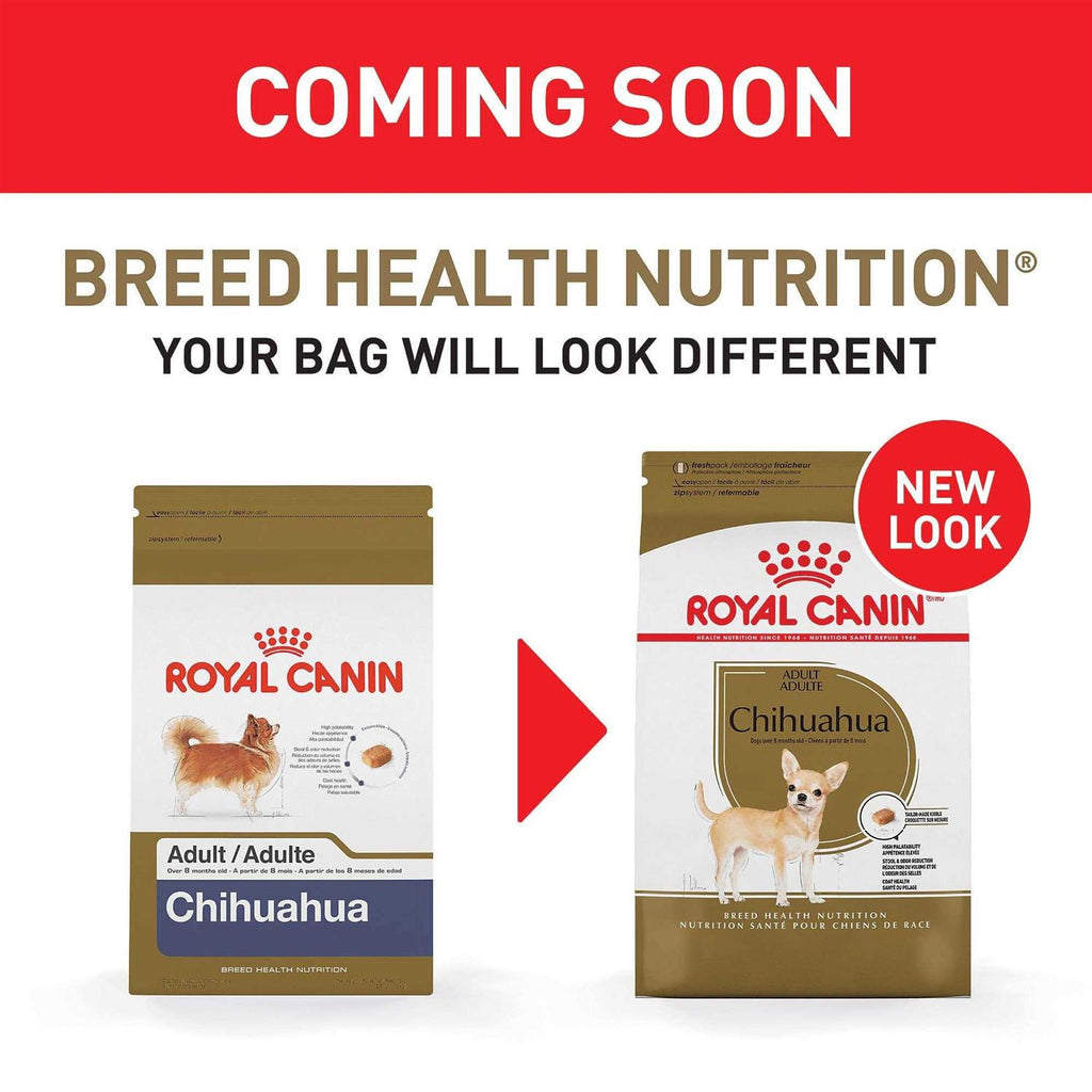 Chihuahua Adult Dry Dog Food X196734